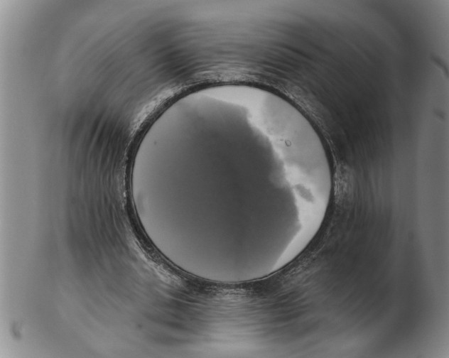 X0000102350438200808221657