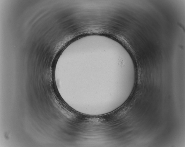 X0000102350439200808221657