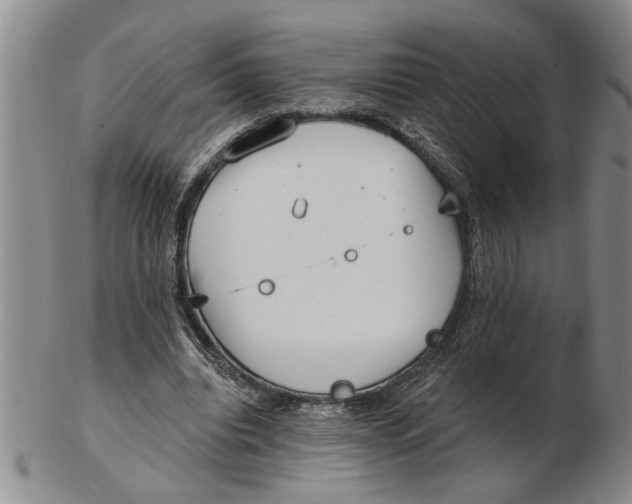 X0000102350440200808221657