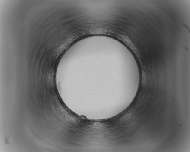 X0000102350441200808221657