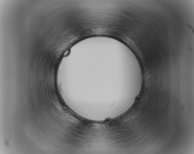 X0000102350442200808221657
