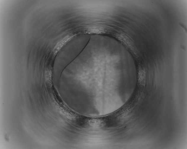 X0000102350444200808221657
