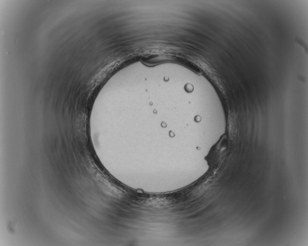 X0000102350445200808221657