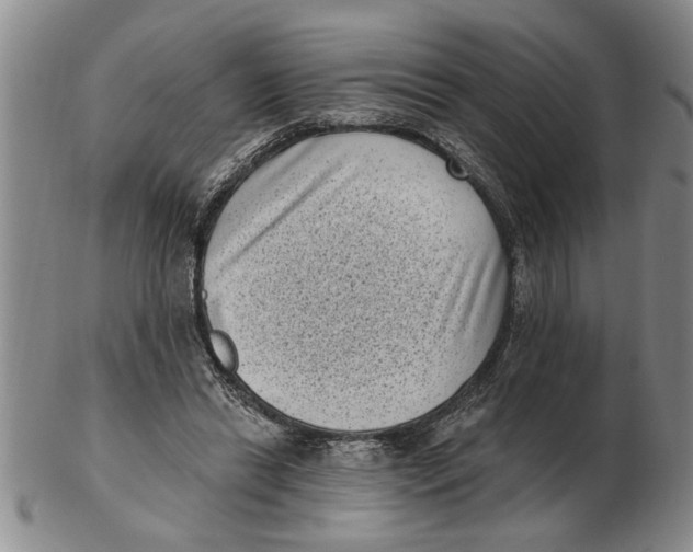 X0000102350446200808221657