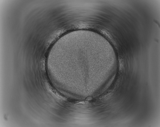 X0000102350447200808221657
