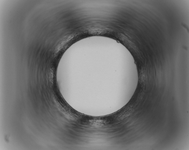 X0000102350448200808221657