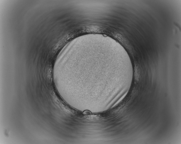 X0000102350449200808221657