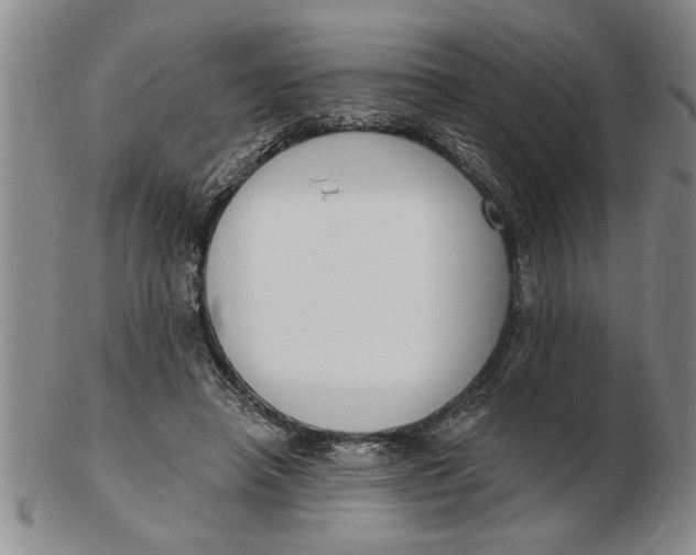 X0000102350450200808221657