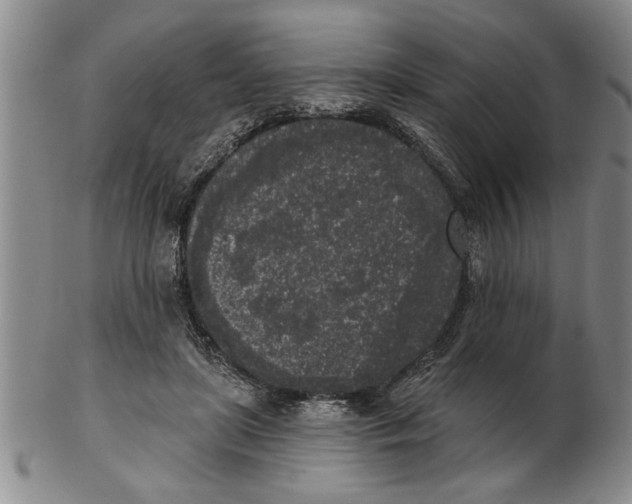 X0000102350451200808221657