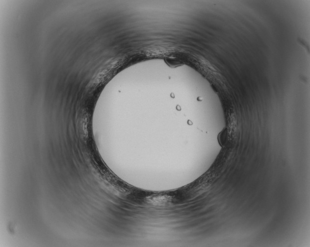 X0000102350452200808221657