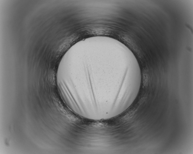 X0000102350453200808221657