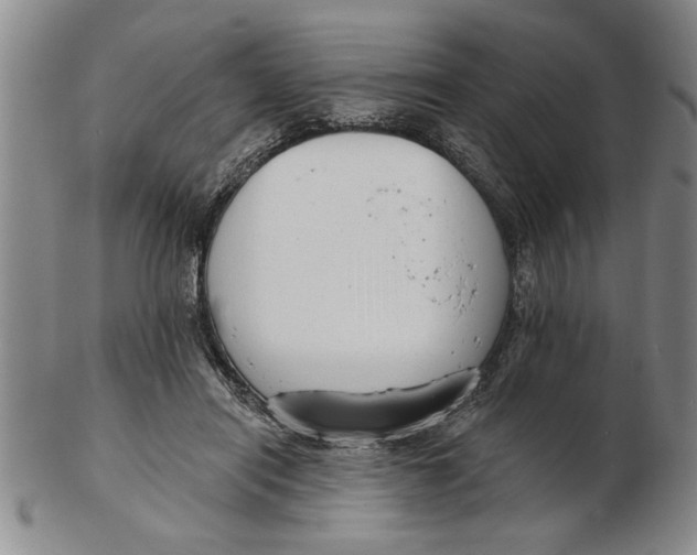 X0000102350454200808221657