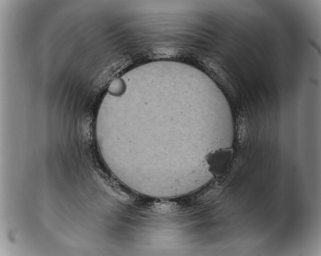 X0000102350455200808221657