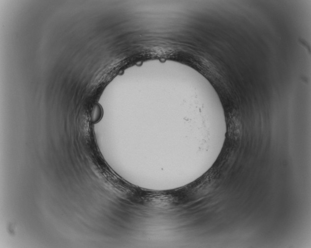 X0000102350456200808221657