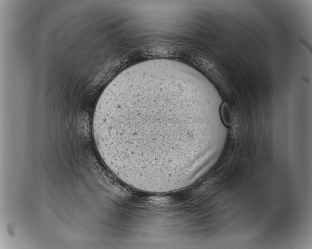 X0000102350457200808221657