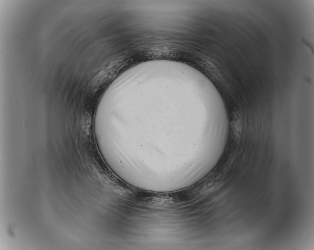 X0000102350458200808221657
