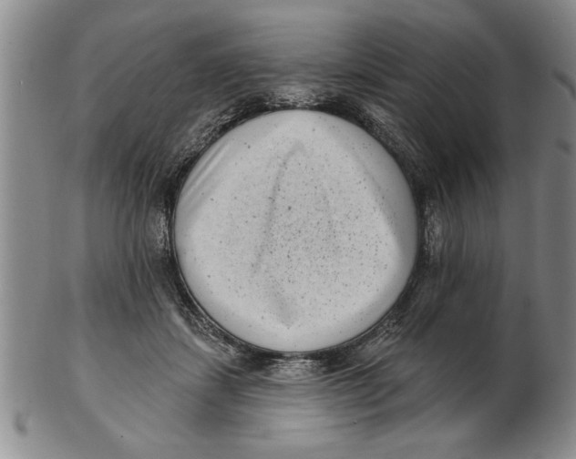 X0000102350459200808221657