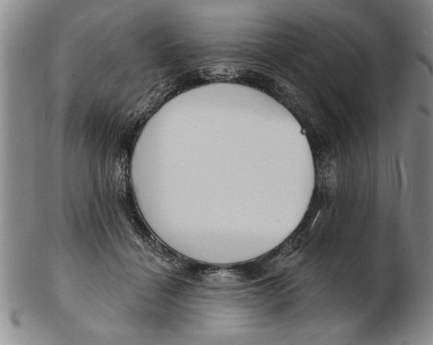 X0000102350460200808221657