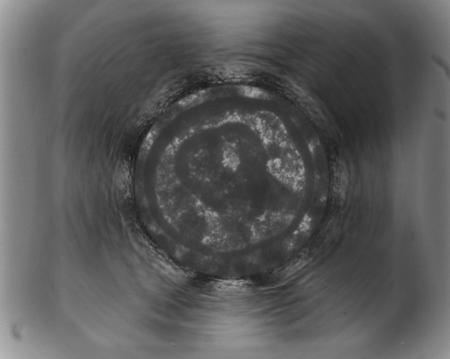 X0000102350465200808221657