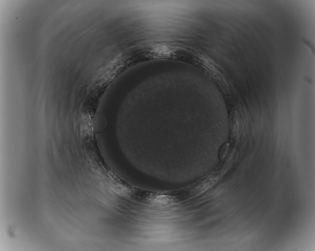 X0000102350467200808221657