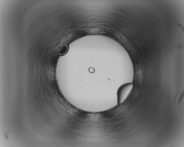 X0000102350469200808221657