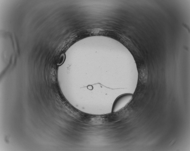 X0000102350470200808221657