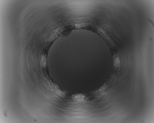X0000102350471200808221658