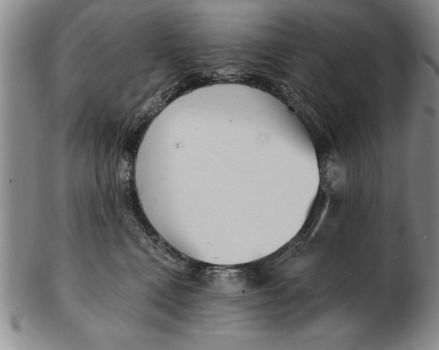 X0000102350472200808221658