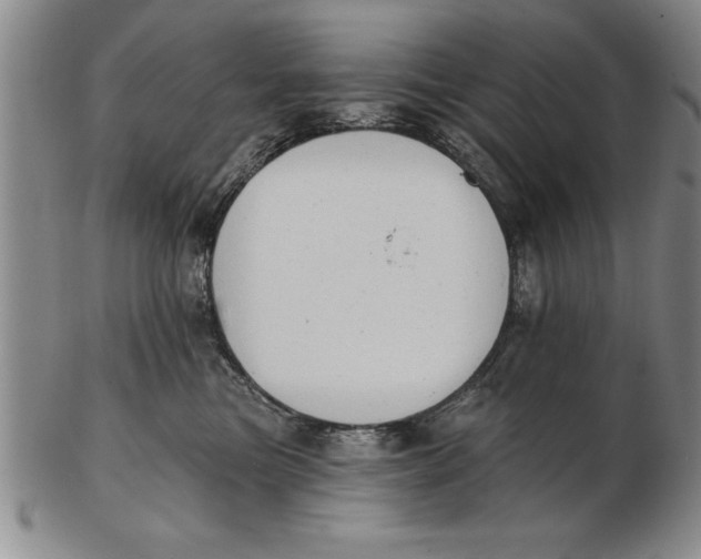 X0000102350473200808221658