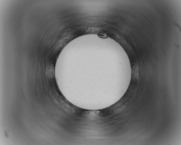X0000102350474200808221658