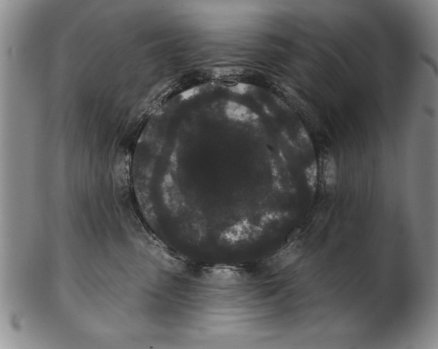 X0000102350475200808221658