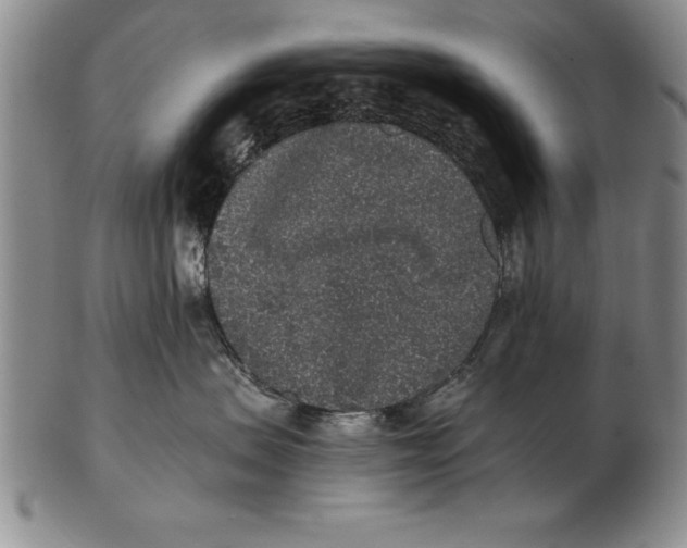 X0000102350479200808221658