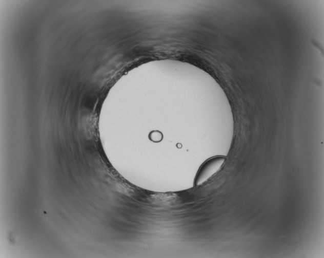 X0000102350480200808221658