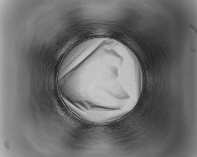 X0000102350482200808221657