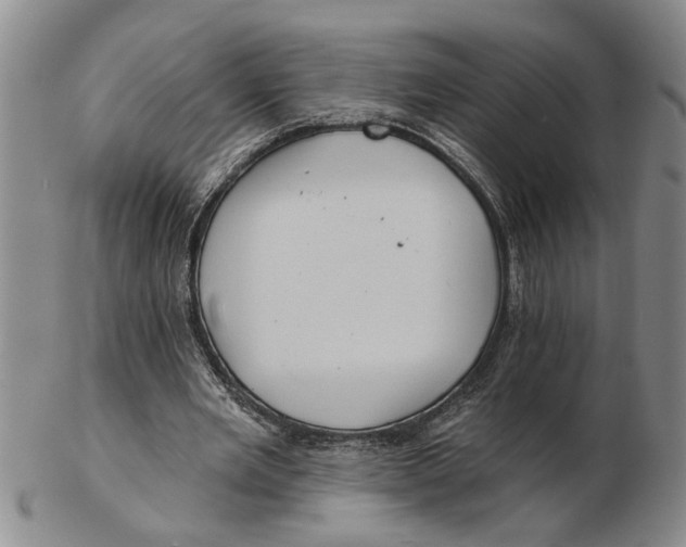 X0000102350485200808221657