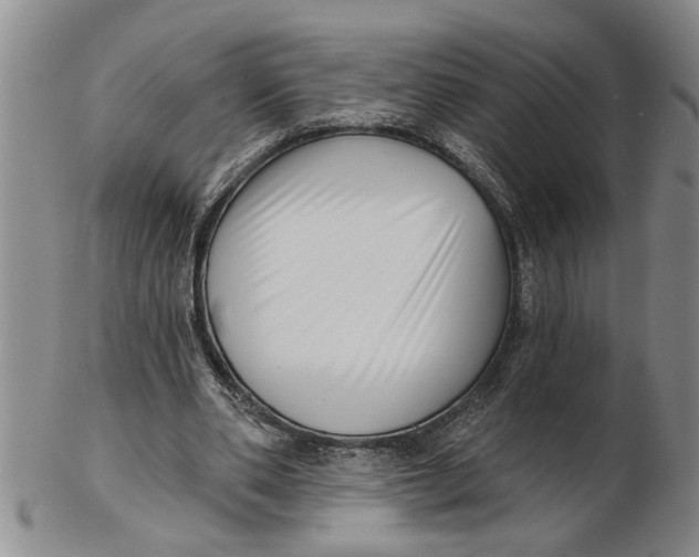 X0000102350486200808221657