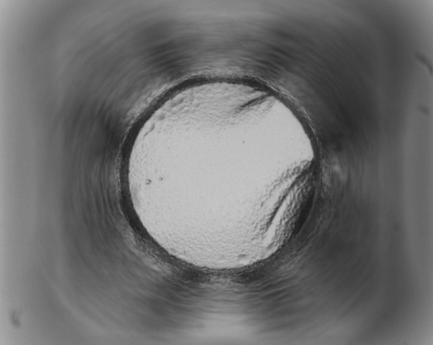 X0000102350487200808221657