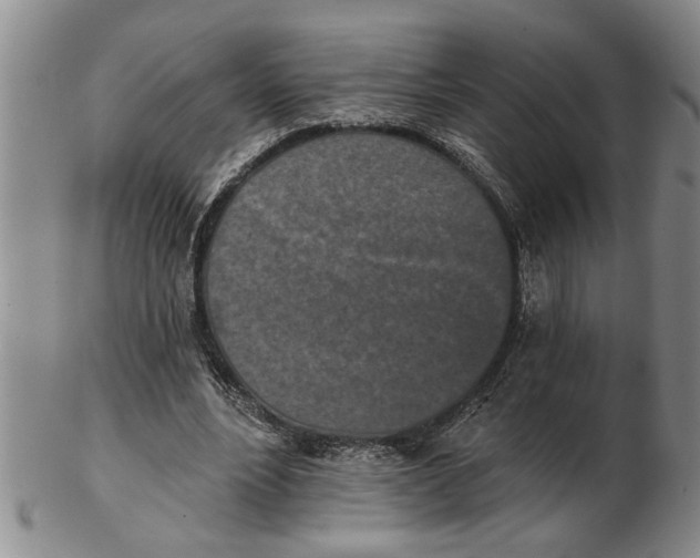 X0000102350488200808221657