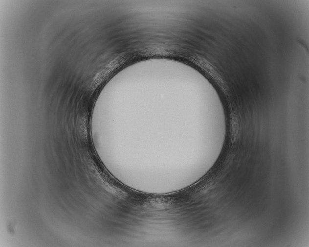 X0000102350489200808221657