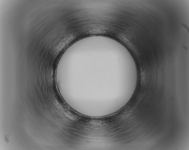 X0000102350490200808221657