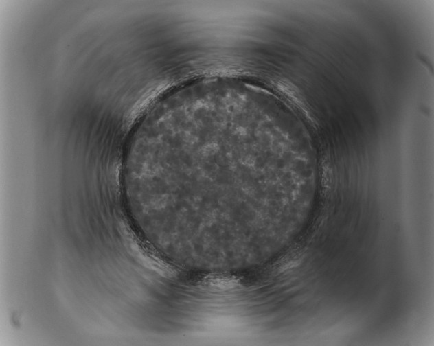 X0000102350491200808221657