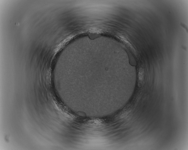 X0000102350492200808221657