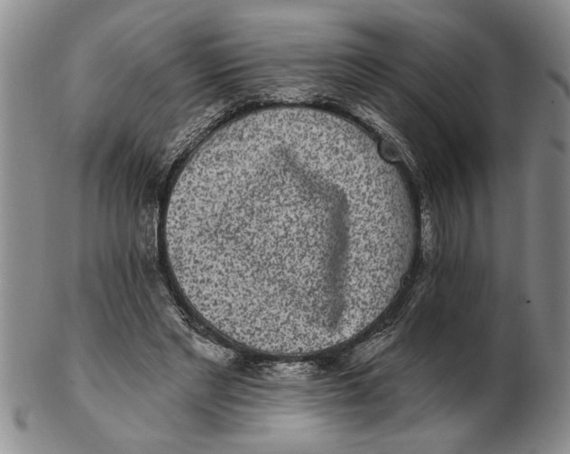 X0000102350493200808221657