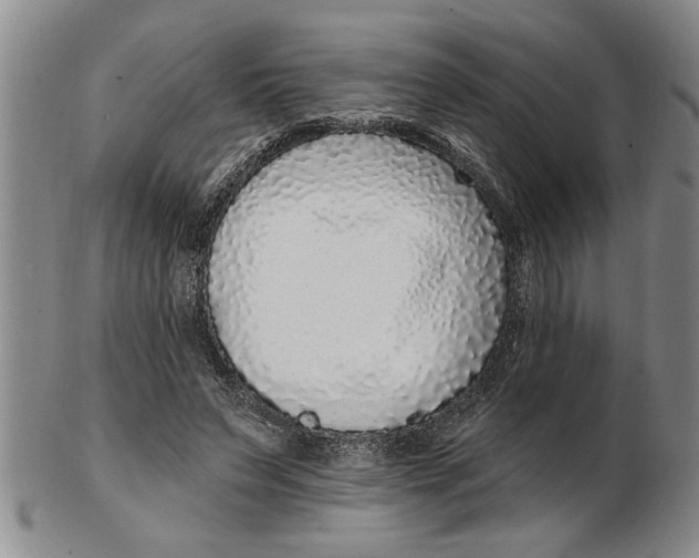X0000102350495200808221657