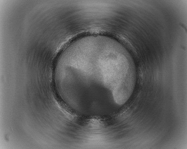 X0000102350496200808221657