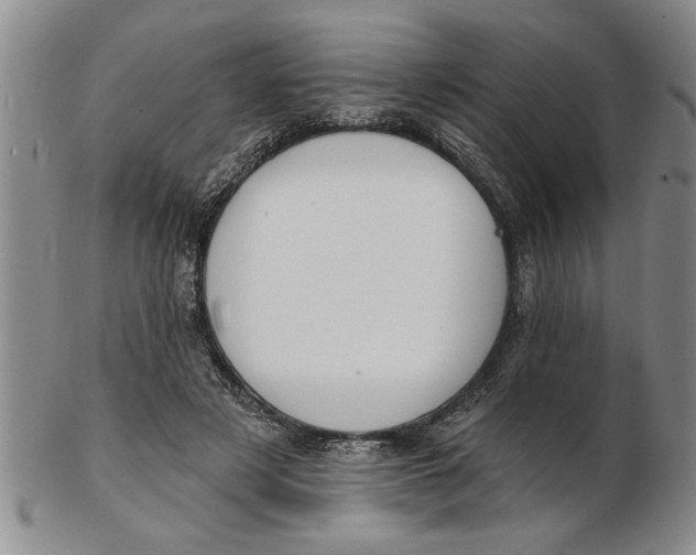 X0000102350497200808221657
