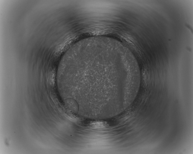 X0000102350499200808221657