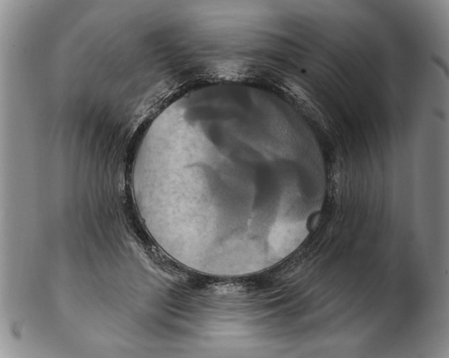 X0000102350500200808221657