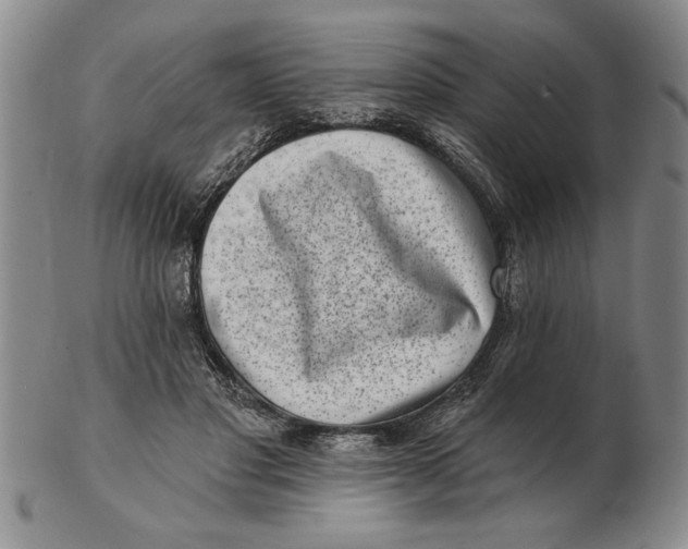 X0000102350501200808221657