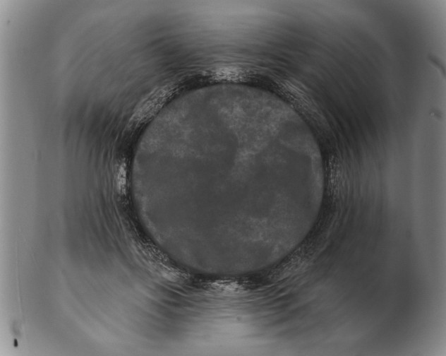 X0000102350502200808221657